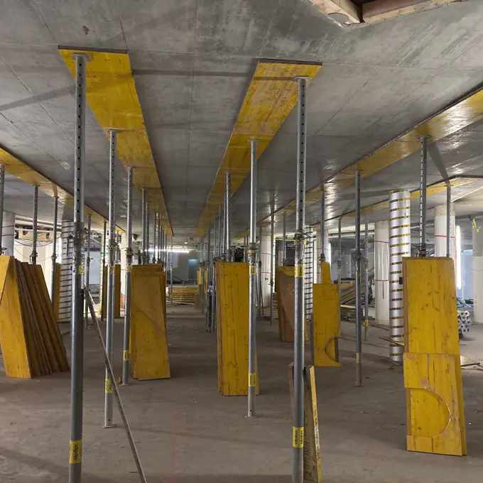 IMG EG 20250313 124918 923