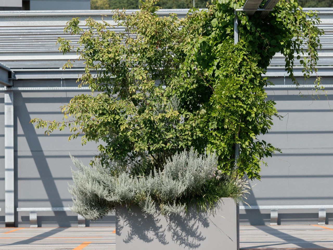 667586494 16.Foto┬®Mark Sengstbratl