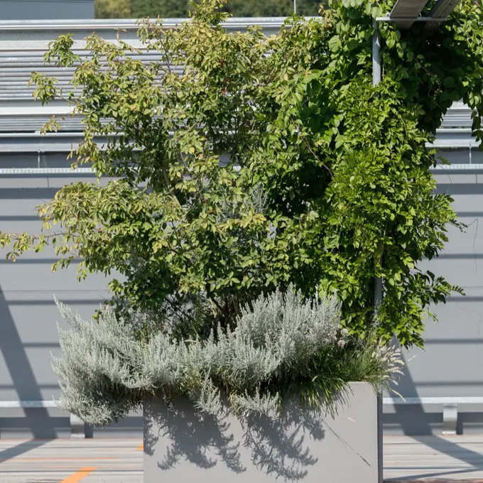 667586494 16.Foto┬®Mark Sengstbratl