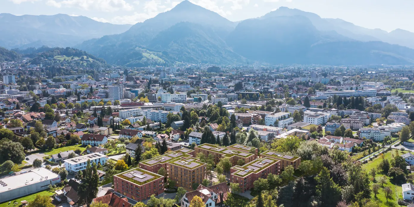 BB Rohr Blick Vogel 01 D