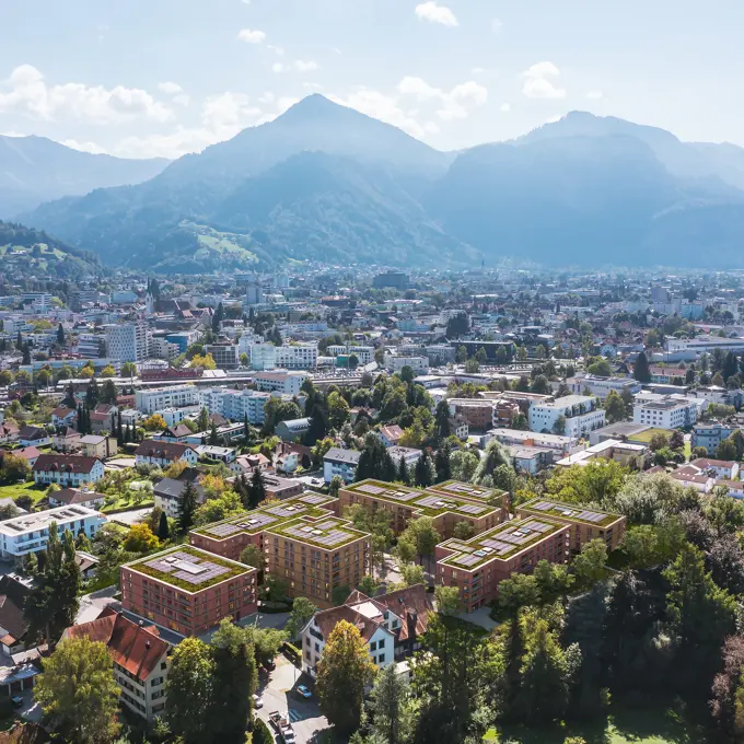 BB Rohr Blick Vogel 01 D