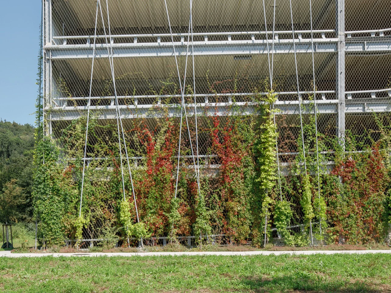 2449150403 21.Foto┬®Mark Sengstbratl