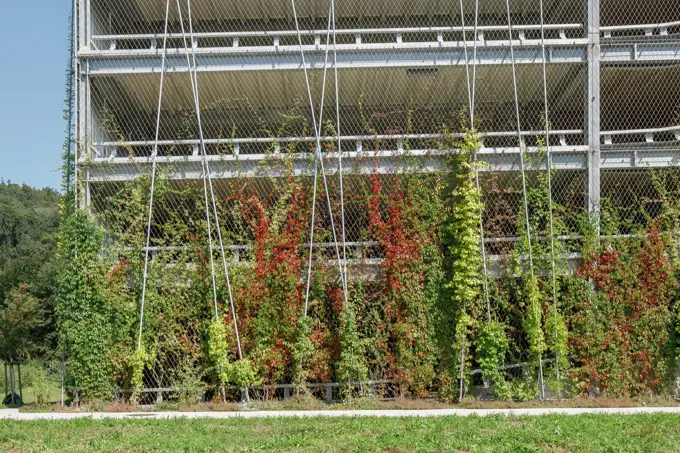 2449150403 21.Foto┬®Mark Sengstbratl