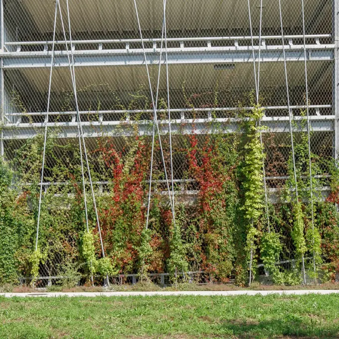 2449150403 21.Foto┬®Mark Sengstbratl