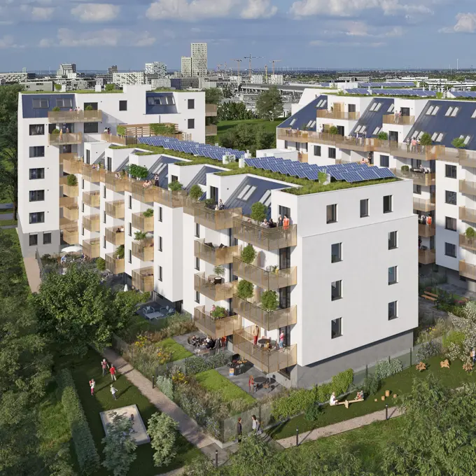 65 S6 INWESTER Groß 60 Cam003 2