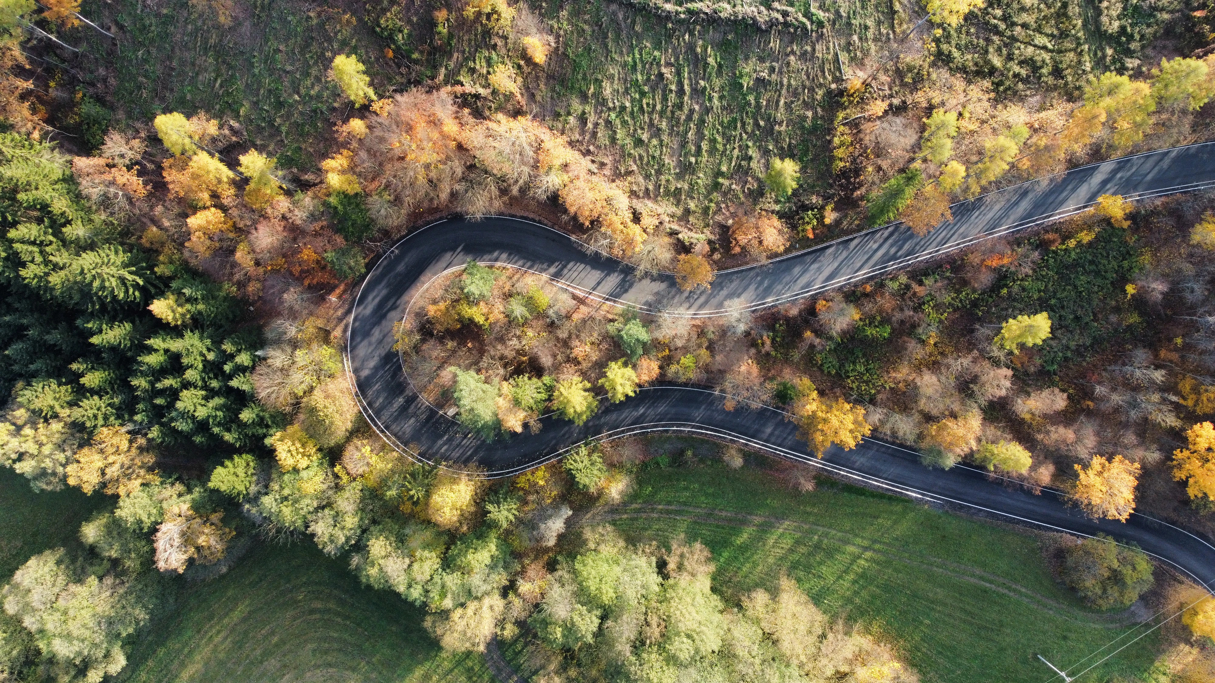 250325 AT Sustainability (C)SWIETELSKY (5)