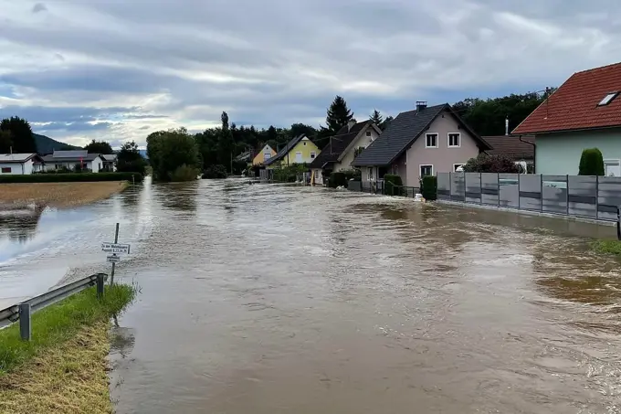 37551Poppichl HW 2023