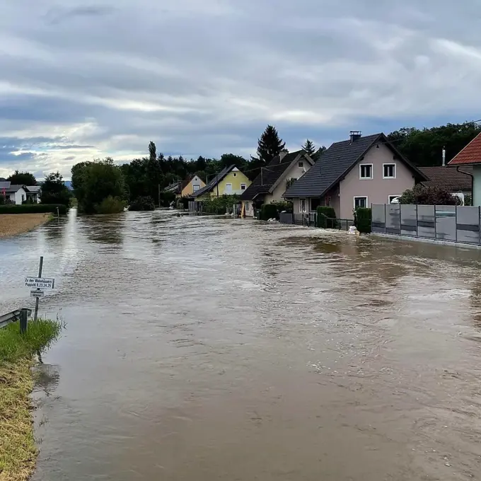 37551Poppichl HW 2023