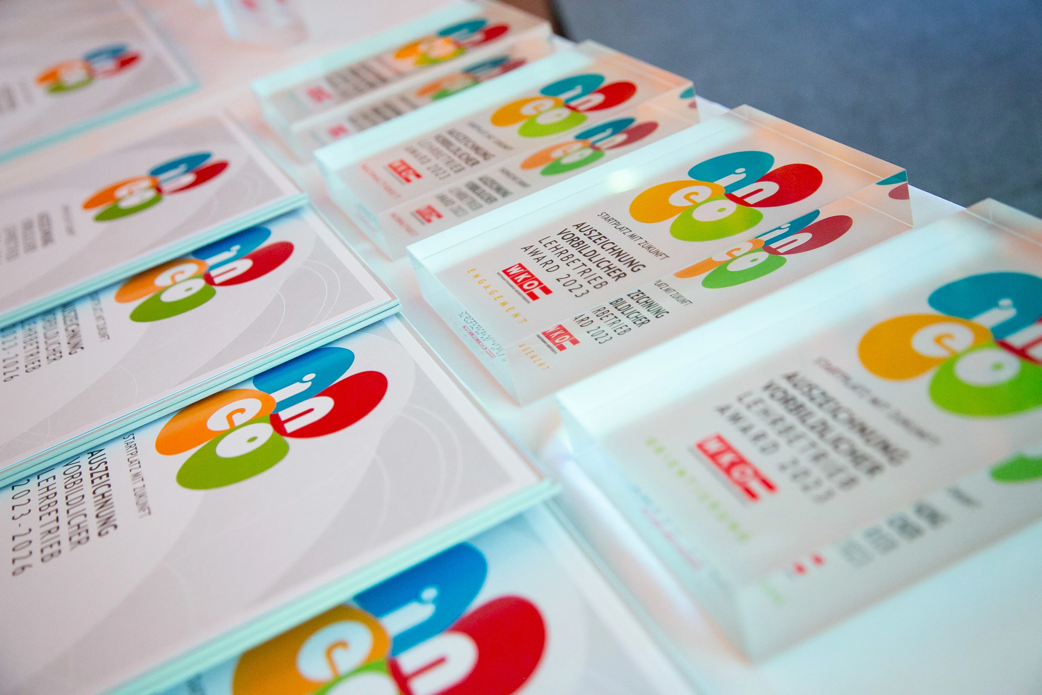 20231113_SWIETELSKY INEO Award_2