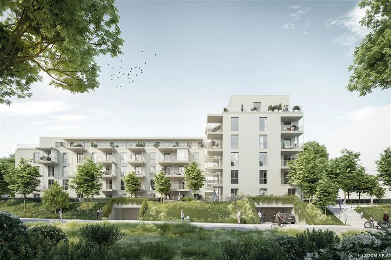 217244028 13.5 C2023 ZOOMVP CAPP Ichagasse UE2 C08 Scaled